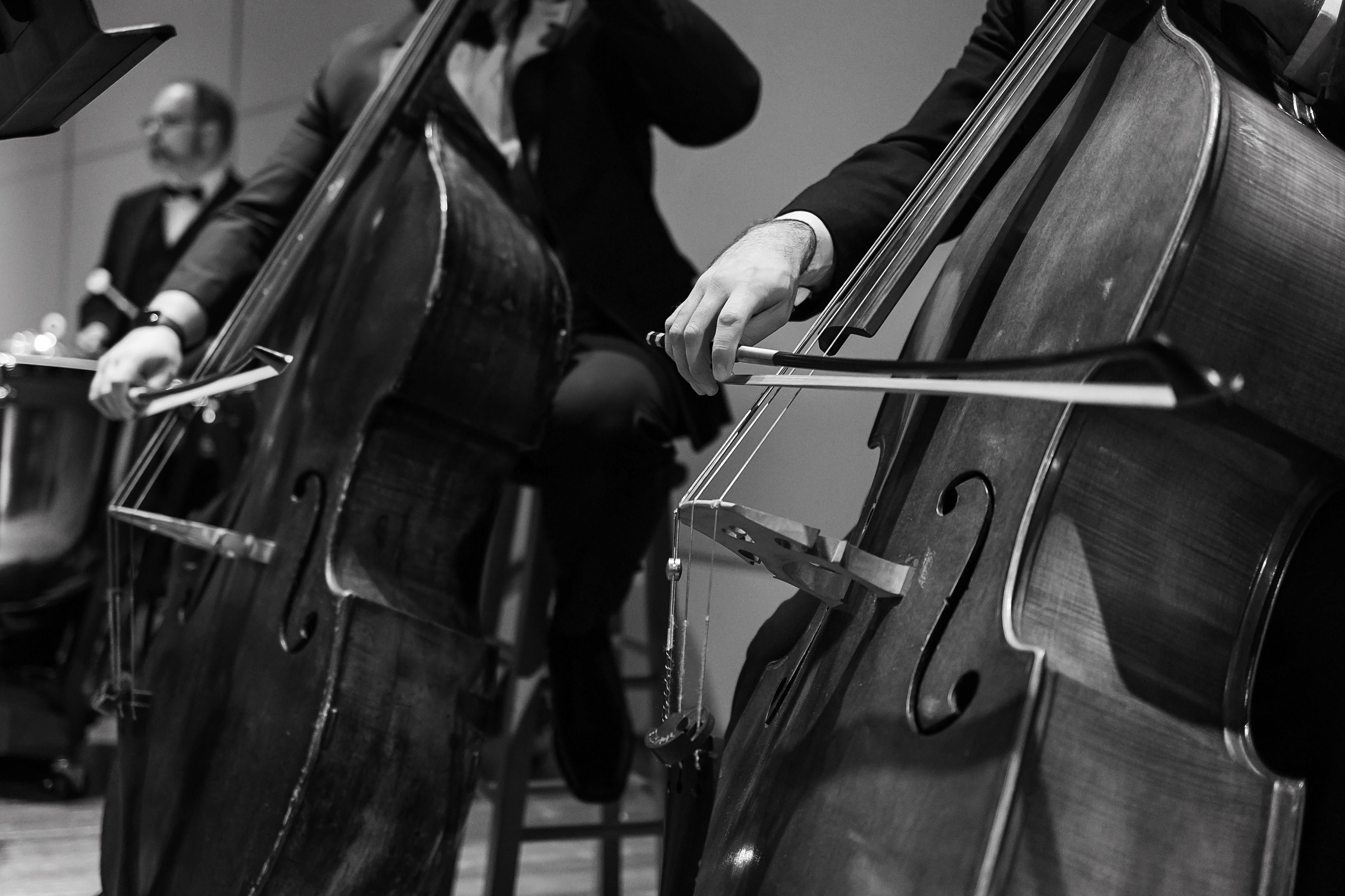 Close up on a bass section